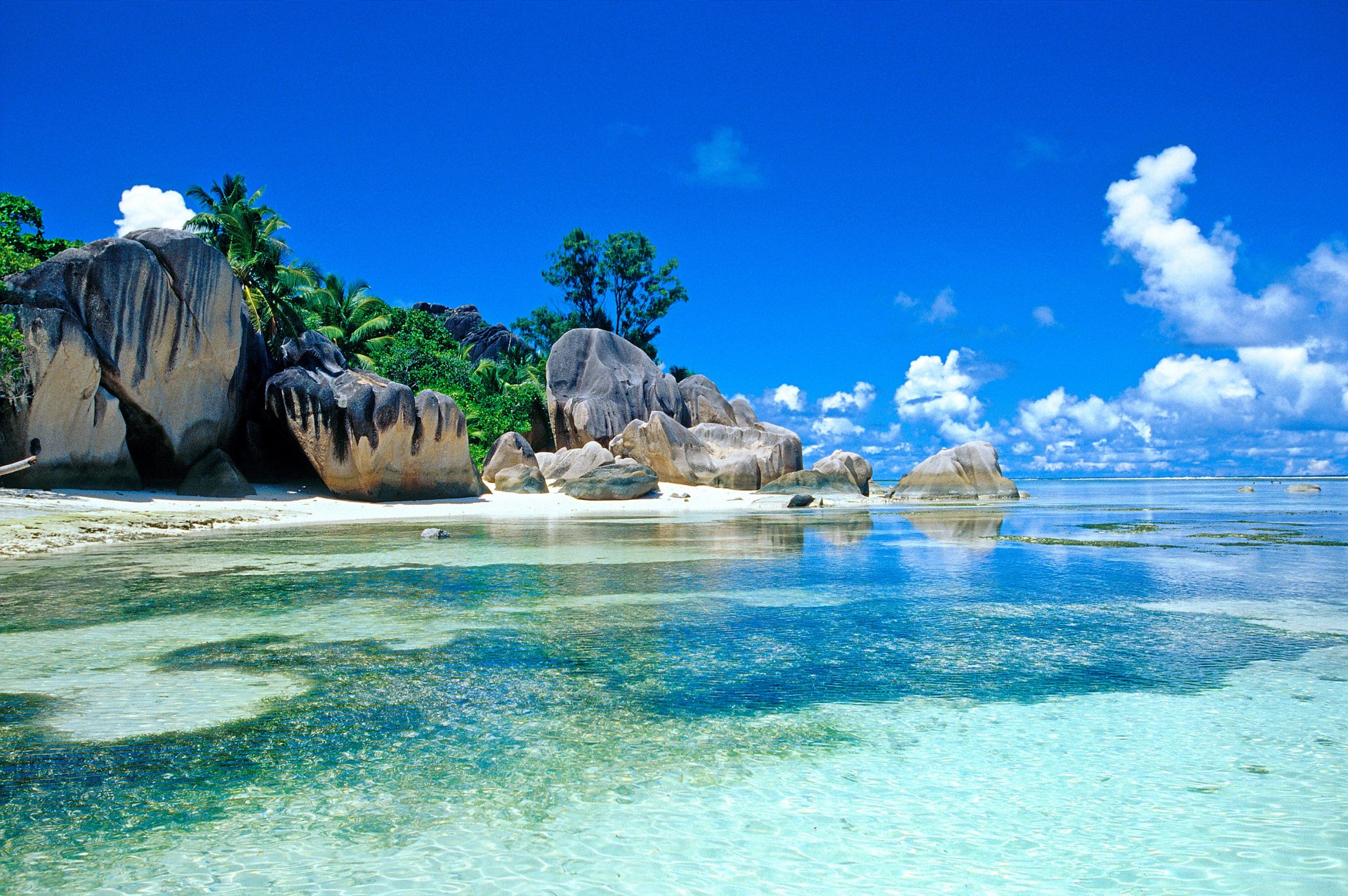 Tropical Seychelles beach selected by Wayne Lesperance